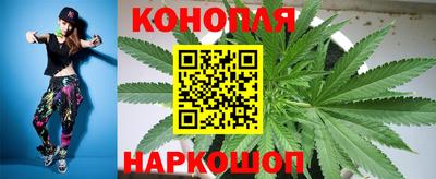 гидра Свободный