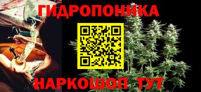 гидра Свободный