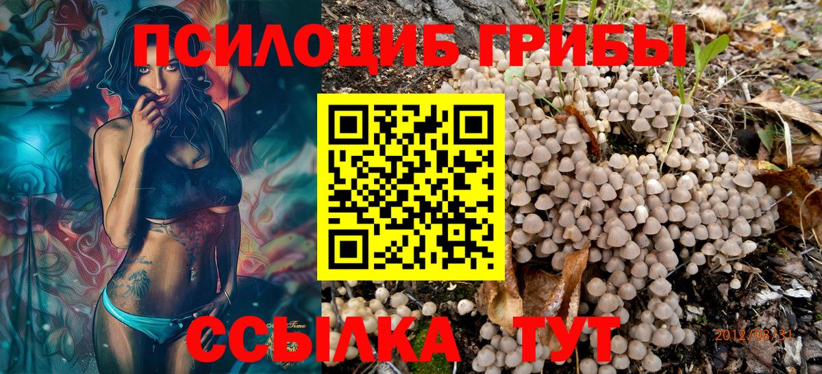 купить закладку  Вход с VPN  Павловский Посад  Галлюциногенные грибы MAGIC MUSHROOMS 